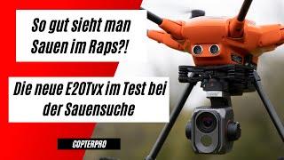 So gut sieht man Sauen im Raps wirklich? Sauensuche mit der neuen Yuneec E20Tvx Wärmebildkamera 640p