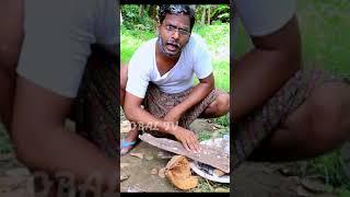 new tik tok odia comedy viral status video |dibyacomedy, sandha| moj,reels, Snackvideo, #shorts