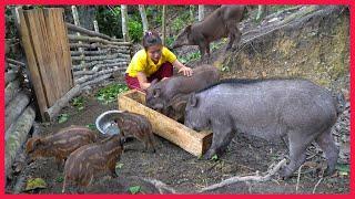 Make a feed trough for wild boar. Building farm, free Life (ep95)