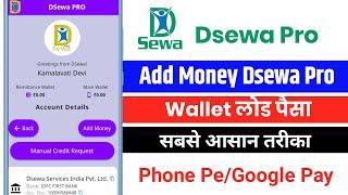 Dsewa Pro Add Money || Add Money In Dsewa Pro Wallet || Google Pay/Phone Pe Thru
