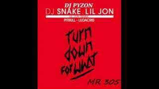 DJ SNAKE ft LIL JON & PITBULL & LUDACRIS " Turn Down For What " ( dj pyzon remix )