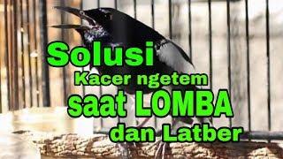 Solusi Kacer Ngetem saat Lomba dan Latber