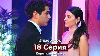 Зимородок 18 Cерия (Короткий Эпизод) (Русский дубляж)