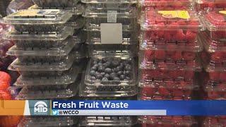 Survey: Americans Waste $10 Weekly On Spoiled Fruit