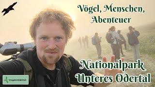 Wildes Ostdeutschland - Vögel, Menschen und Abenteuer im Nationalpark Unteres Odertal! | Mai 2024 