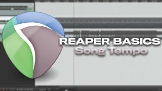 REAPER BASICS: Finding the tempo of a song using tap tempo