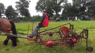 Erntetag Joschi beim Heuwenden .