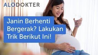 Janin Berhenti Bergerak? Lakukan Trik Berikut Ini!