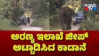 Wild Elephant Chases ETF Staff In Belur | Hassan