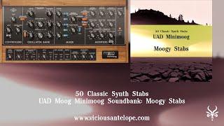 UAD Moog Minimoog Presets | Vicious Antelope - Moogy Stabs