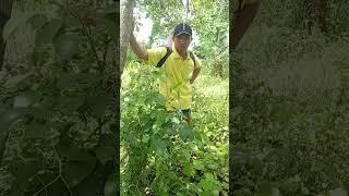 Video lucu bikin ketawa sebatas hiburan belaka #funny #shortvideo #comedy #laugh