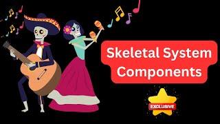 Exploring the Skeletal System: Components and Functions