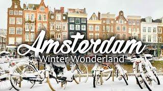 Why You Should Spend Your Winter In Amsterdam | Wanderlust