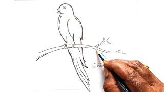 How to draw Parrot pencil sketch|| Parrot Drawing ||Jakkani Drawing Academy