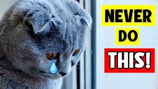 10 Things a Cat Will NEVER FORGIVE! 
