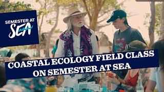 Semester at Sea Coastal Ecology Class in Kenya!