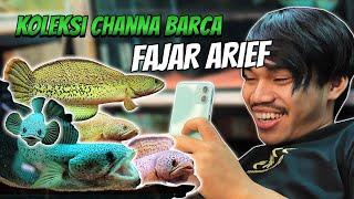 Review Semua Koleksi Chana Barca Milik Fajar Arief