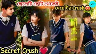 ছেলেটি ছোট থেকে মেয়েটির Crush, শেষমেস এদের পরিণতি কী? My Blue Summer Chinese Drama Bangla Explain