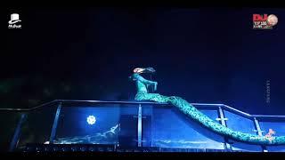 6 meters snake tail for stage performance