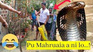 Chawngkawr (Cobra) thankin man a ni