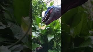 Blue raptor sneeze #dinosaurs #blueraptor #shorts #viral #funny