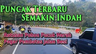 Puncak Bogor Terbaru .. Makin Indah..Makin Bersih.. Makin Lancar.. Ratusan Pot Tanaman Pucuk Merah