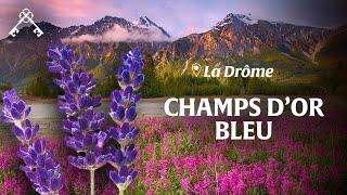 The Drôme Between Vercors and Provence | Alpine massifs and lavender fields | Heritage Treasures