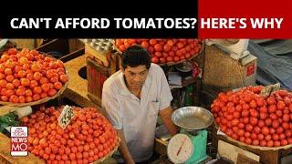 Monsoon Mayhem: What Led To Tomato Price Hike?  | NewsMo
