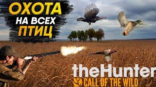 The Hunter Call of the Wild  | Охота на ВСЕХ ПТИЦ