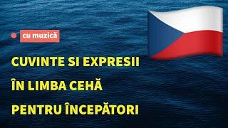 Cuvinte și fraze in limba cehă pentru începători. Studiați limba cehă ascultând muzică.