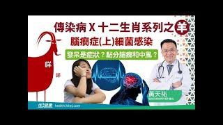 【十二生肖X傳染病】羊：腦癇症 上 細菌感染