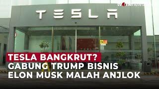 Tesla Anjlok, Bisnis Elon Musk Alami Kehancuran | OneNews Update