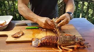 NZ crayfish/rocklobster preparation.