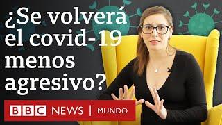 Por qué es probable y positivo que el coronavirus se vuelva más contagioso (y menos agresivo)