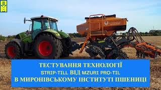 Тестування Технології Strip-Till Від Mzuri Pro-Til В Міп: Тест Перший