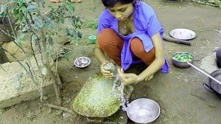 Desi girl vlog ।। village life vlog ।। Desi vlog  ।। #viralvlogs #vlog