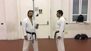 Oi-tsuki: Karate Shotokai & Kyusho