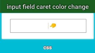 input field cursor caret-color change | css | slys