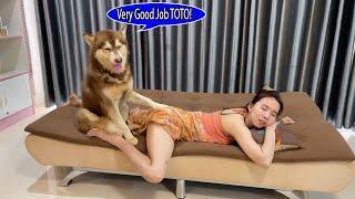 Aww!!When Kwan need TOTO help massage but TOTO need to play very very much