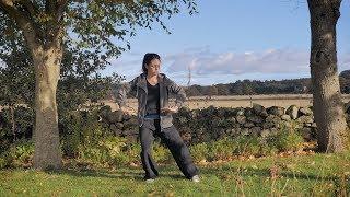 WUDANG SINGLE TIGER MOVE QIGONG