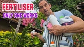 What is the BEST Fertilizer for Orchids ?  Expert 's secret to Choosing  Orchid Fertilizer