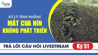 APN - XỬ LÝ TÌNH HUỐNG MẮT CUA NÍN KHÔNG PHÁT TRIỂN | TRẢ LỜI CÂU HỎI LIVESTREAM KỲ 51