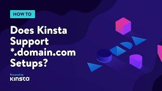 Does Kinsta Support *.domain.com (Wildcard) Setups?