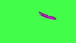 Purple butterfly flying - Green screen (no copyright, Royalty free)