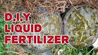 HOW TO MAKE YOUR LIQUID FERTILIZER