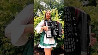 Beer Barrel Polka #accordion #music #girl