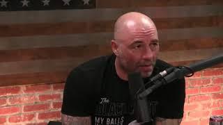 Joe Rogan ( @PowerfulJRE ) talks about Kyokushin Karate