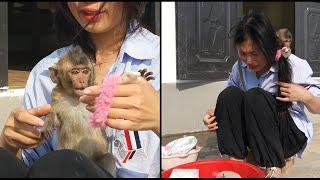 The cute Nahu monkey gazed passionately at Huong's pink hair tie