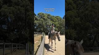 My hot weather riding routine #horse #ilovemyhorse #equestrian #horsesaremylife #myhorse