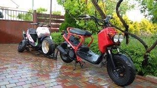 Honda zoomer & ruckus (ruckster)  moto & scooter trailer dio 27 tuning  Volk Rays Mesh ats classic